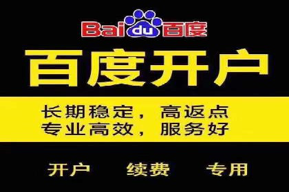 百度推广公司案例解析：如何通过百度推广实现品牌升级